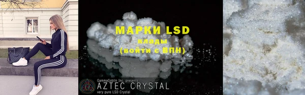 PSILOCYBIN Алзамай