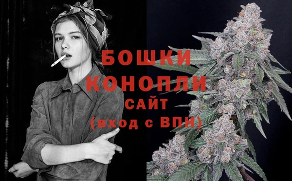 PSILOCYBIN Алзамай