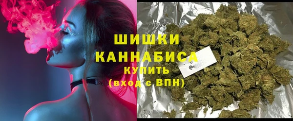 PSILOCYBIN Алзамай