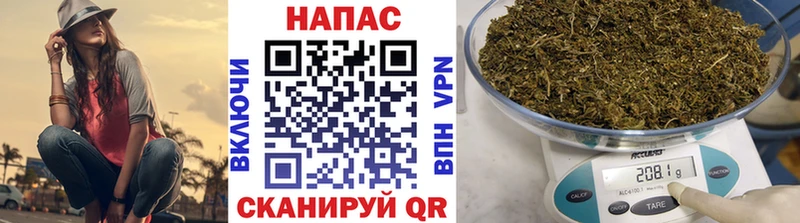 как найти наркотики Кольчугино Каннабис Amnesia